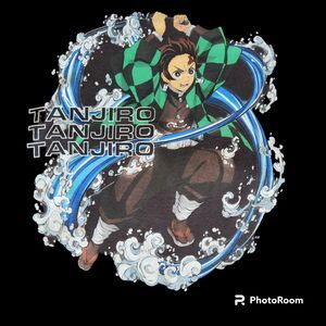 Demon Slayer Tanjiro Kamado T Shirt Small S Black Graphic Tee Kimetsu No Yaiba